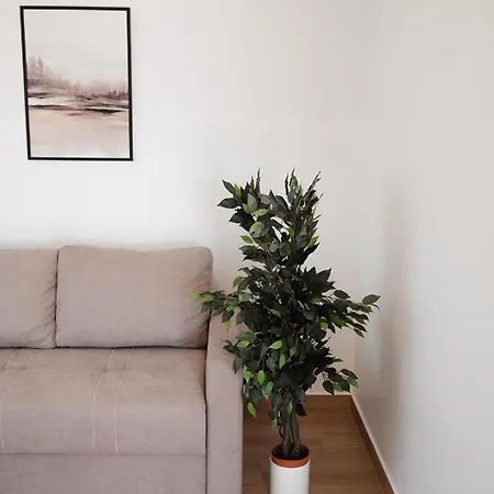 아파트 Eucalyptus